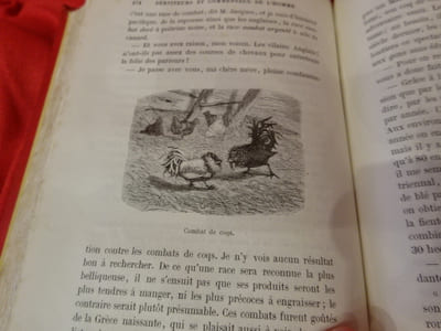 Serviteurs et commensaux de,l'homme. 