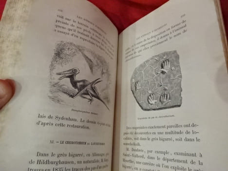 Les animaux d'autrefois. . [SCIENCE NATURELLE] - MEUNIER (Victor)