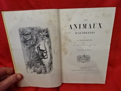 Les animaux d'autrefois. 