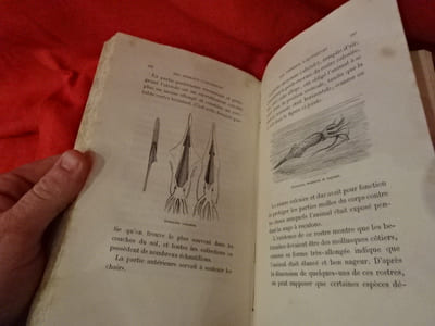 Les animaux d'autrefois. 