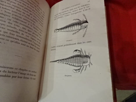 Les animaux d'autrefois. . [SCIENCE NATURELLE] - MEUNIER (Victor)