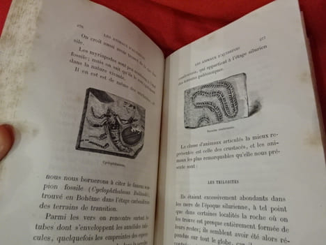 Les animaux d'autrefois. . [SCIENCE NATURELLE] - MEUNIER (Victor)