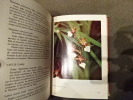 Orchidées exotiques. . [BOTANIQUE] - ZIMMERMAN ET DOUGOUD
