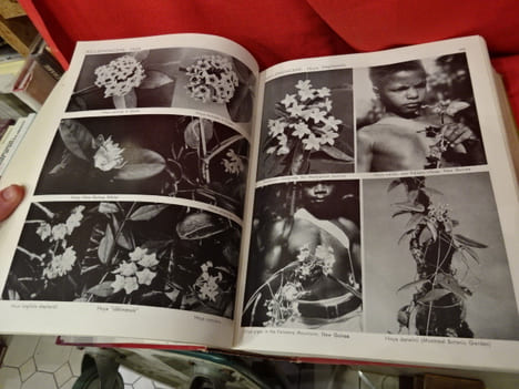 Exotica 3 pictorial cyclopedia of exotic plants. Guide to care of plants indoors. . [BOTANIQUE] - GRAF (Alfred Byrd)