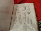 Description des Plantes fossiles du Bassin de Paris.-Atlas. . [SCIENCE NATURELLE] - WATELET (Ad.)