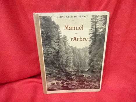 L'Arbre, la forêt et les pâturages de montagne. Manuel de l'arbre pour l'enseignement sylvo-pastoral dans les écoles. . [SCIENCE] - CARDOT (E.)