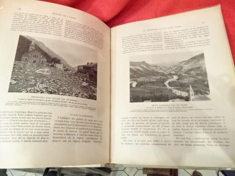 L'Arbre, la forêt et les pâturages de montagne. Manuel de l'arbre pour l'enseignement sylvo-pastoral dans les écoles. . [SCIENCE] - CARDOT (E.)