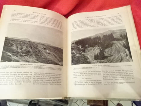 L'Arbre, la forêt et les pâturages de montagne. Manuel de l'arbre pour l'enseignement sylvo-pastoral dans les écoles. . [SCIENCE] - CARDOT (E.)