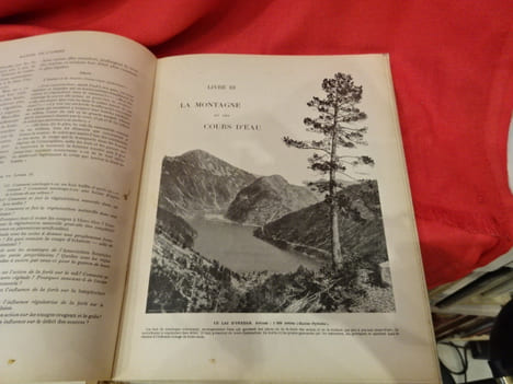 L'Arbre, la forêt et les pâturages de montagne. Manuel de l'arbre pour l'enseignement sylvo-pastoral dans les écoles. . [SCIENCE] - CARDOT (E.)