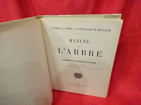 L'Arbre, la forêt et les pâturages de montagne. Manuel de l'arbre pour l'enseignement sylvo-pastoral dans les écoles. . [SCIENCE] - CARDOT (E.)