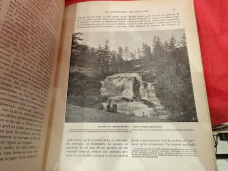 L'Arbre, la forêt et les pâturages de montagne. Manuel de l'arbre pour l'enseignement sylvo-pastoral dans les écoles. . [SCIENCE] - CARDOT (E.)