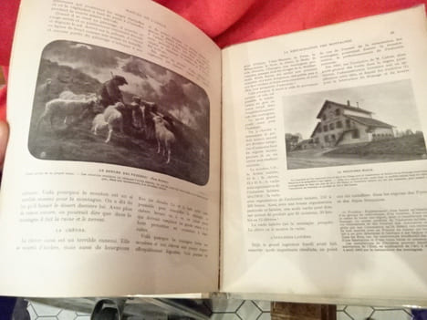 L'Arbre, la forêt et les pâturages de montagne. Manuel de l'arbre pour l'enseignement sylvo-pastoral dans les écoles. . [SCIENCE] - CARDOT (E.)
