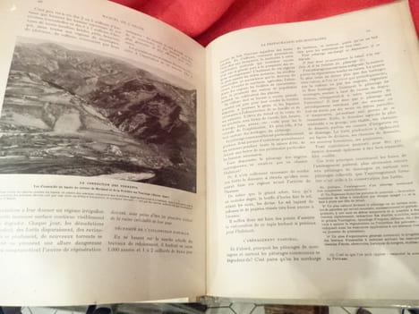 L'Arbre, la forêt et les pâturages de montagne. Manuel de l'arbre pour l'enseignement sylvo-pastoral dans les écoles. . [SCIENCE] - CARDOT (E.)