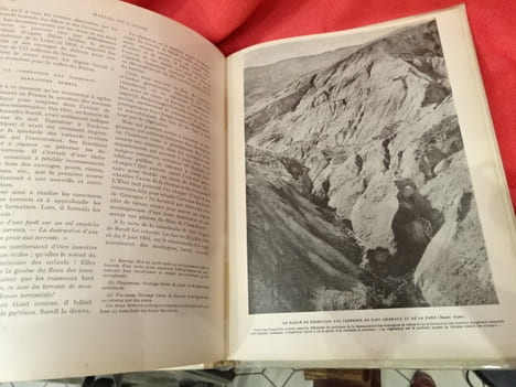 L'Arbre, la forêt et les pâturages de montagne. Manuel de l'arbre pour l'enseignement sylvo-pastoral dans les écoles. . [SCIENCE] - CARDOT (E.)