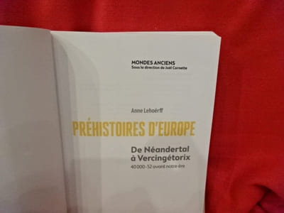 De néandertal à Vercingétorix 40000-52 avant notre ère. Préhistoires d'Europe. 