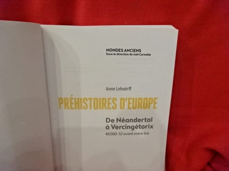De néandertal à Vercingétorix 40000-52 avant notre ère. Préhistoires d'Europe. . [ART] - LEHOËRFF (Anne)