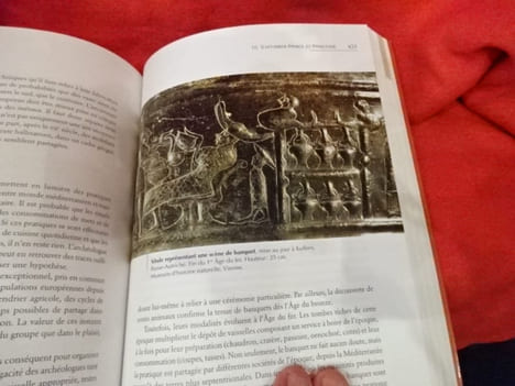De néandertal à Vercingétorix 40000-52 avant notre ère. Préhistoires d'Europe. . [ART] - LEHOËRFF (Anne)
