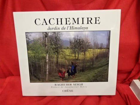 Cachemire. Jardin de l'Himalaya. . [ART] - SINGH (Raghubir)