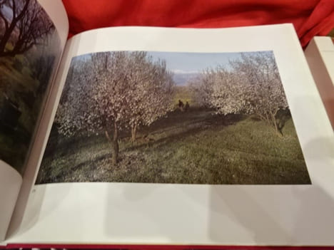 Cachemire. Jardin de l'Himalaya. . [ART] - SINGH (Raghubir)