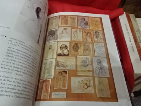 André Pierre de Mandiargues et l'art du XXèmesiècle. Le Belvédère Mandiargues. . [LITTERATURE] - PIERRE (José)
