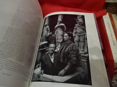André Pierre de Mandiargues et l'art du XXèmesiècle. Le Belvédère Mandiargues.