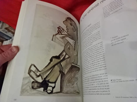 André Pierre de Mandiargues et l'art du XXèmesiècle. Le Belvédère Mandiargues. . [LITTERATURE] - PIERRE (José)