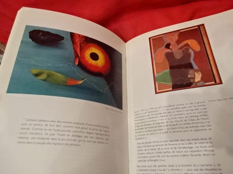 André Pierre de Mandiargues et l'art du XXèmesiècle. Le Belvédère Mandiargues. . [LITTERATURE] - PIERRE (José)