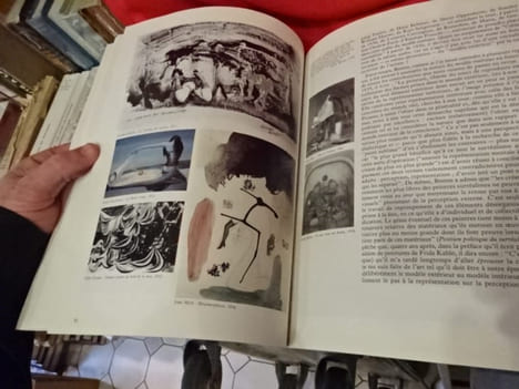 L'aventure surréaliste autour d'André Breton. . [LITTERATURE] - PIERRE (José)