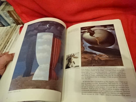 L'aventure surréaliste autour d'André Breton. . [LITTERATURE] - PIERRE (José)