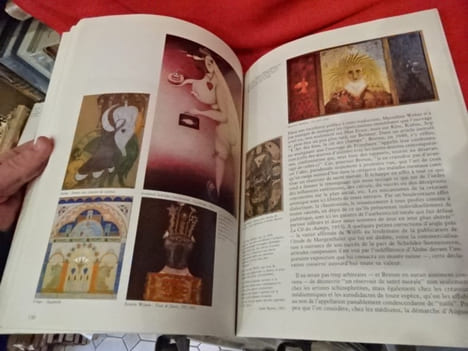 L'aventure surréaliste autour d'André Breton. . [LITTERATURE] - PIERRE (José)