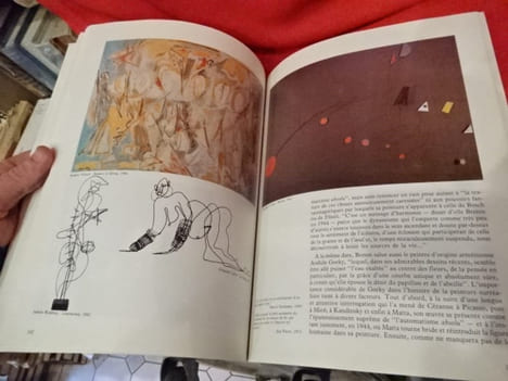 L'aventure surréaliste autour d'André Breton. . [LITTERATURE] - PIERRE (José)