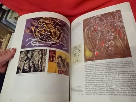 L'aventure surréaliste autour d'André Breton. . [LITTERATURE] - PIERRE (José)
