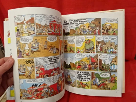 La zizanie. . [BANDE DESSINEE] - GOSCINNY (René), UDERZO (Albert)