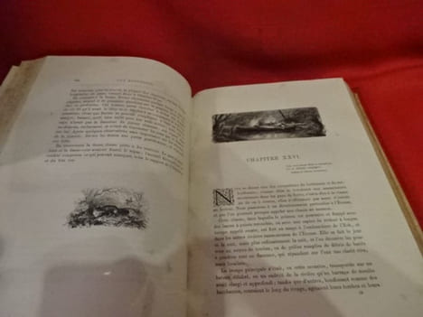 Guy Mannering. . [LITTERATURE] - SCOTT (Walter)