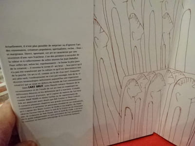 L'art brut. L'art outsider et au-delà. 