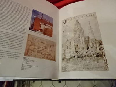 L'art brut. L'art outsider et au-delà. 