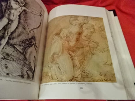 Renaissance méridionale. Italie 1460-1500. . [ART] - CHASTEL (André)