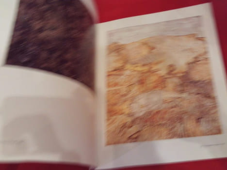 Jean Dubuffet, les années d'une amitié avec Alexandre Vialatte. . [ART] - CATALOGUE D'EXPOSITION