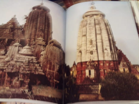 L'Art en Inde. . [ART] - SIVARAMAMURTI (C.)