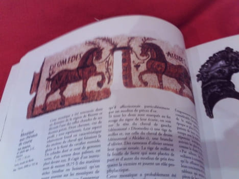 Chevaux et cavaliers arabes dans les arts d'Orient et d'Occident. . [ART] - CATALOGUE D'EXPOSITION (Sous la direction de Jean-Pierre Digard)