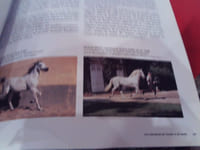 Chevaux et cavaliers arabes dans les arts d'Orient et d'Occident.