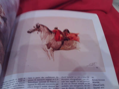 Chevaux et cavaliers arabes dans les arts d'Orient et d'Occident. 