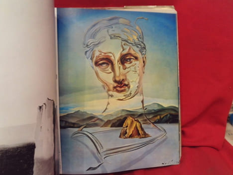 Dali de Draeger. . [ART] - DRAEGER