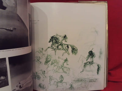 Dali de Draeger.