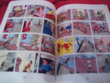 Rodéo. . [BANDE DESSINEE] - MORRIS