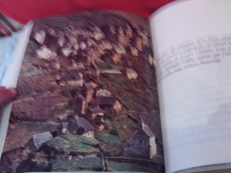Sainte-Foy de Conques. . [ART] - SOLMS (É. de)
