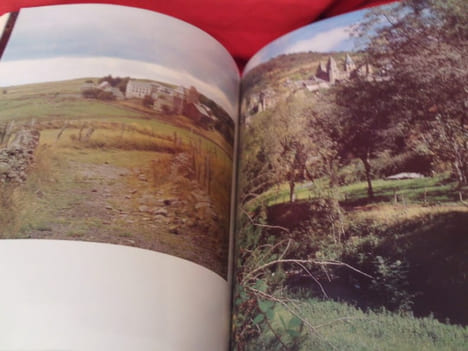 Les chemins de Compostelle. . [ART] - OURSEL (Raymon)