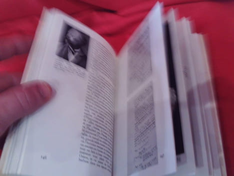 Album Flaubert. . [LITTERATURE] - BRUNEAU (Jean), DUCOUNEAU (Jean A.)