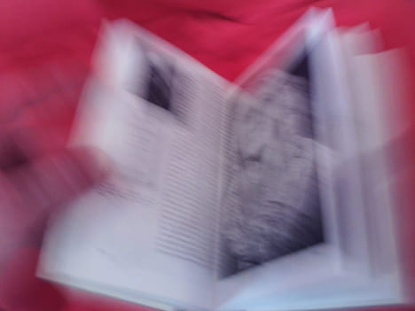 Album Flaubert. . [LITTERATURE] - BRUNEAU (Jean), DUCOUNEAU (Jean A.)