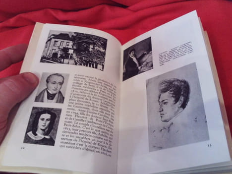 Album Flaubert. . [LITTERATURE] - BRUNEAU (Jean), DUCOUNEAU (Jean A.)